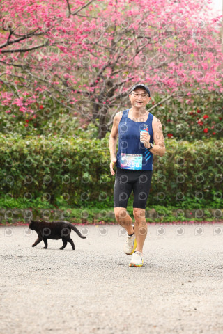 2026左岸竹東櫻花馬拉松Zhudong Sakura Marathon