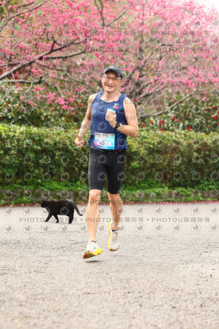 2026左岸竹東櫻花馬拉松Zhudong Sakura Marathon