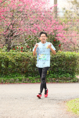 2026左岸竹東櫻花馬拉松Zhudong Sakura Marathon