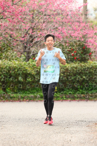 2026左岸竹東櫻花馬拉松Zhudong Sakura Marathon