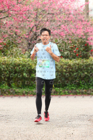 2026左岸竹東櫻花馬拉松Zhudong Sakura Marathon
