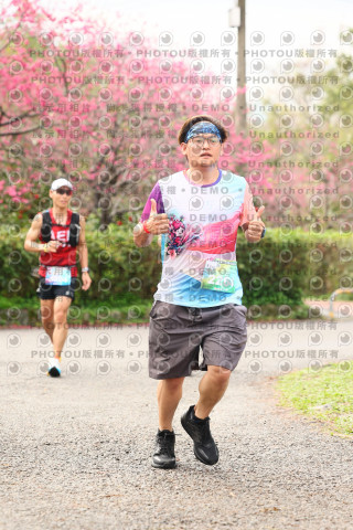 2026左岸竹東櫻花馬拉松Zhudong Sakura Marathon