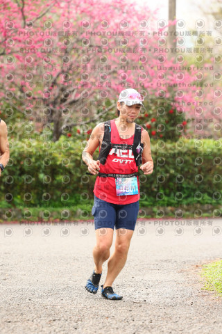 2026左岸竹東櫻花馬拉松Zhudong Sakura Marathon