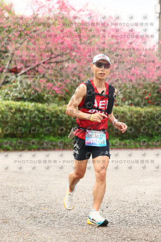 2026左岸竹東櫻花馬拉松Zhudong Sakura Marathon