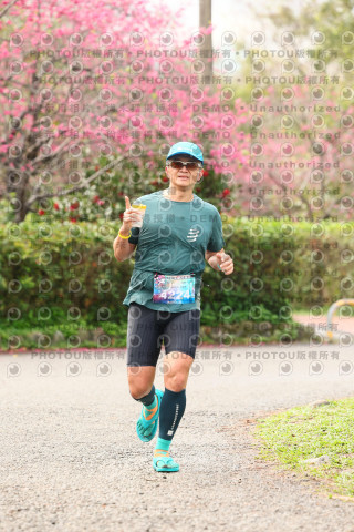 2026左岸竹東櫻花馬拉松Zhudong Sakura Marathon