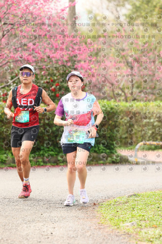 2026左岸竹東櫻花馬拉松Zhudong Sakura Marathon