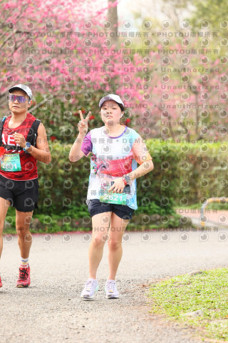 2026左岸竹東櫻花馬拉松Zhudong Sakura Marathon