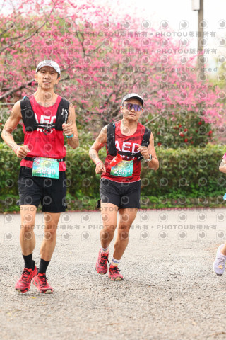 2026左岸竹東櫻花馬拉松Zhudong Sakura Marathon