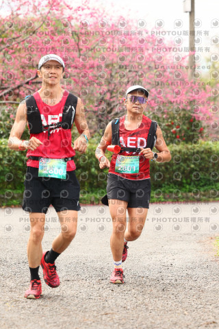 2026左岸竹東櫻花馬拉松Zhudong Sakura Marathon