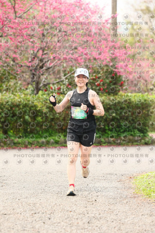 2026左岸竹東櫻花馬拉松Zhudong Sakura Marathon