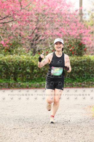 2026左岸竹東櫻花馬拉松Zhudong Sakura Marathon