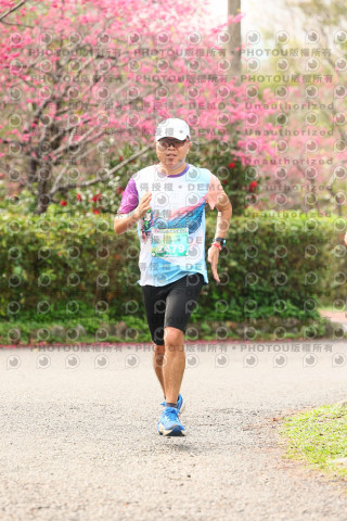 2026左岸竹東櫻花馬拉松Zhudong Sakura Marathon