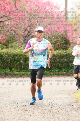 2026左岸竹東櫻花馬拉松Zhudong Sakura Marathon