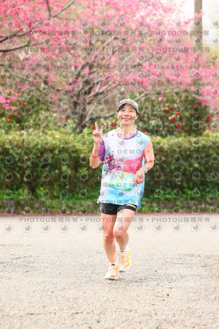 2026左岸竹東櫻花馬拉松Zhudong Sakura Marathon