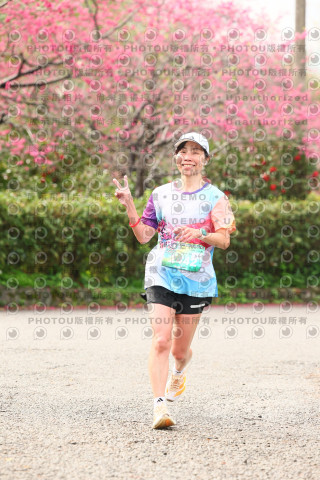 2026左岸竹東櫻花馬拉松Zhudong Sakura Marathon