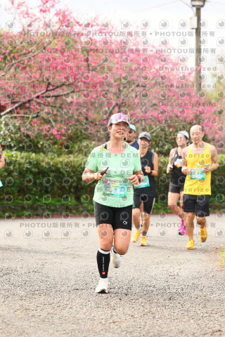 2026左岸竹東櫻花馬拉松Zhudong Sakura Marathon