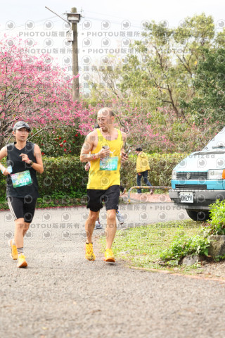 2026左岸竹東櫻花馬拉松Zhudong Sakura Marathon