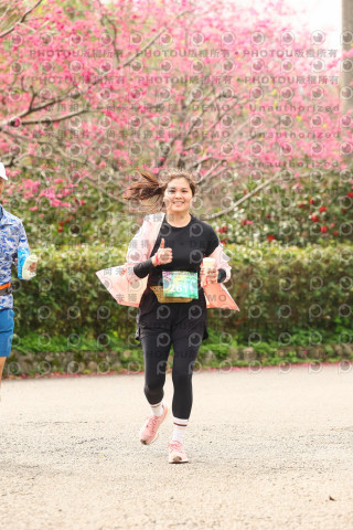 2026左岸竹東櫻花馬拉松Zhudong Sakura Marathon