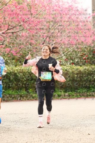 2026左岸竹東櫻花馬拉松Zhudong Sakura Marathon