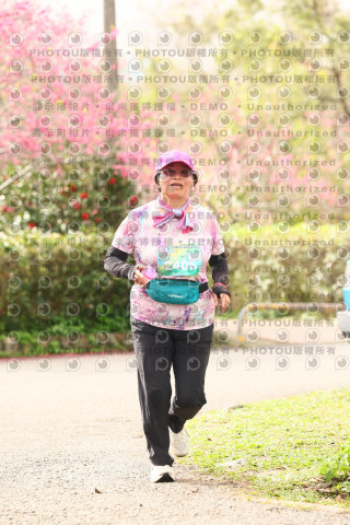 2026左岸竹東櫻花馬拉松Zhudong Sakura Marathon