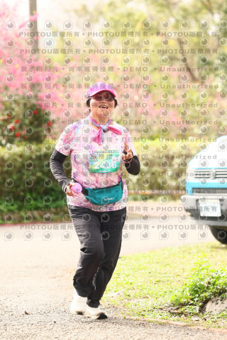 2026左岸竹東櫻花馬拉松Zhudong Sakura Marathon
