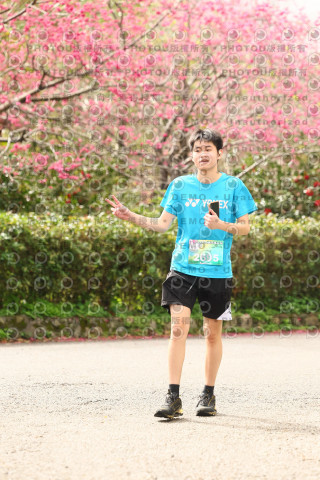2026左岸竹東櫻花馬拉松Zhudong Sakura Marathon