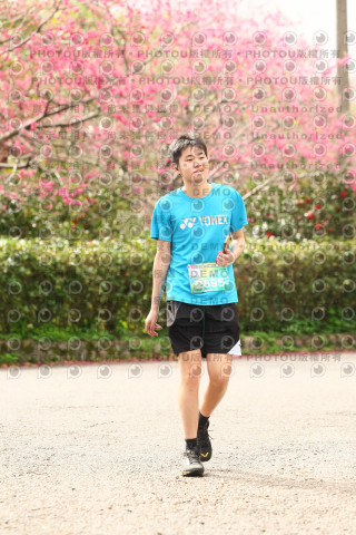 2026左岸竹東櫻花馬拉松Zhudong Sakura Marathon