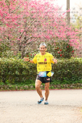 2026左岸竹東櫻花馬拉松Zhudong Sakura Marathon