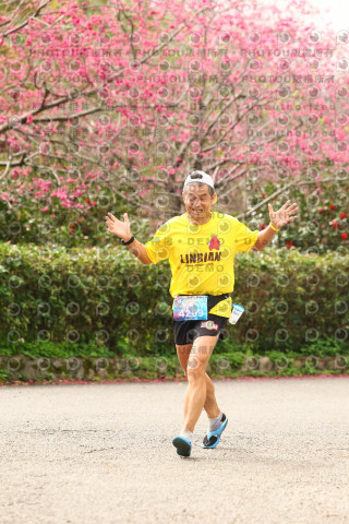 2026左岸竹東櫻花馬拉松Zhudong Sakura Marathon