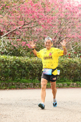 2026左岸竹東櫻花馬拉松Zhudong Sakura Marathon