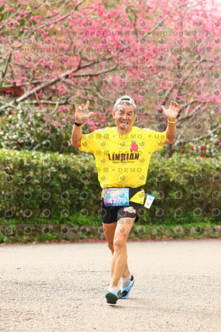 2026左岸竹東櫻花馬拉松Zhudong Sakura Marathon