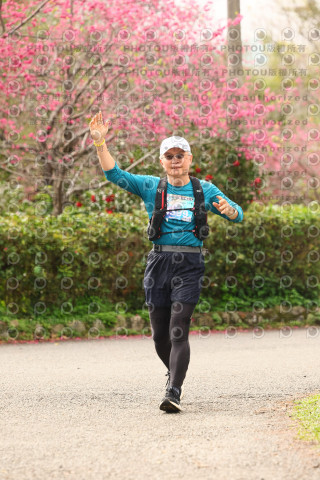 2026左岸竹東櫻花馬拉松Zhudong Sakura Marathon