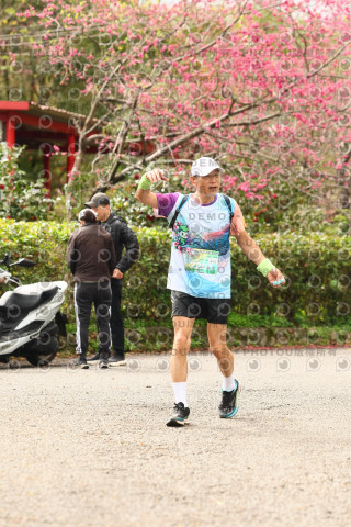 2026左岸竹東櫻花馬拉松Zhudong Sakura Marathon