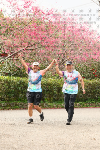 2026左岸竹東櫻花馬拉松Zhudong Sakura Marathon