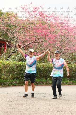 2026左岸竹東櫻花馬拉松Zhudong Sakura Marathon