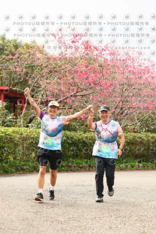 2026左岸竹東櫻花馬拉松Zhudong Sakura Marathon