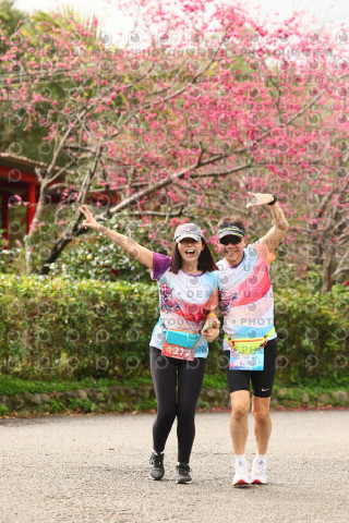 2026左岸竹東櫻花馬拉松Zhudong Sakura Marathon