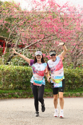 2026左岸竹東櫻花馬拉松Zhudong Sakura Marathon