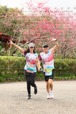 2026左岸竹東櫻花馬拉松Zhudong Sakura Marathon