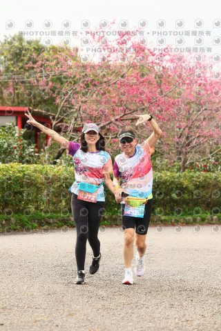 2026左岸竹東櫻花馬拉松Zhudong Sakura Marathon