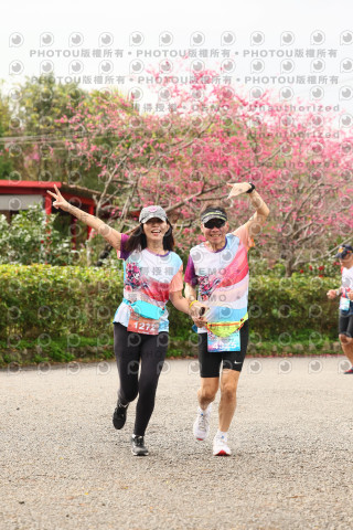 2026左岸竹東櫻花馬拉松Zhudong Sakura Marathon