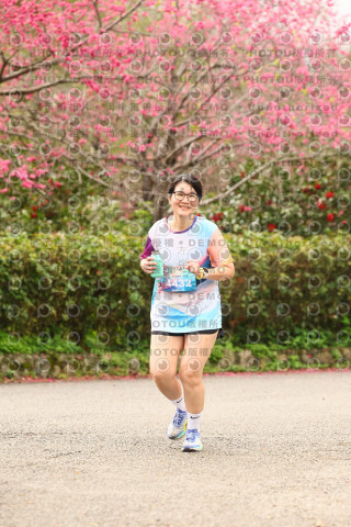 2026左岸竹東櫻花馬拉松Zhudong Sakura Marathon