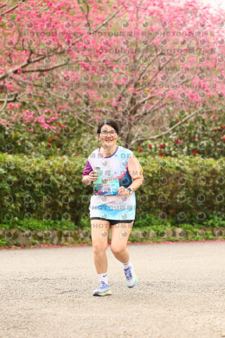 2026左岸竹東櫻花馬拉松Zhudong Sakura Marathon