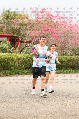 2026左岸竹東櫻花馬拉松Zhudong Sakura Marathon
