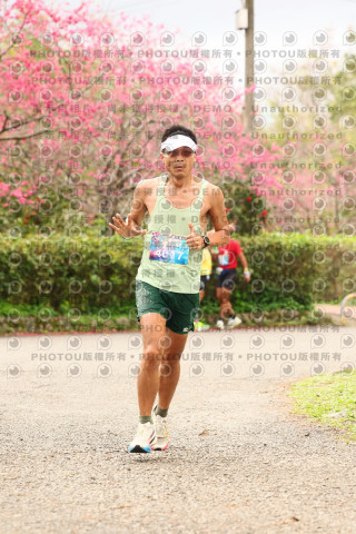 2026左岸竹東櫻花馬拉松Zhudong Sakura Marathon