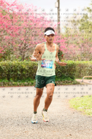 2026左岸竹東櫻花馬拉松Zhudong Sakura Marathon