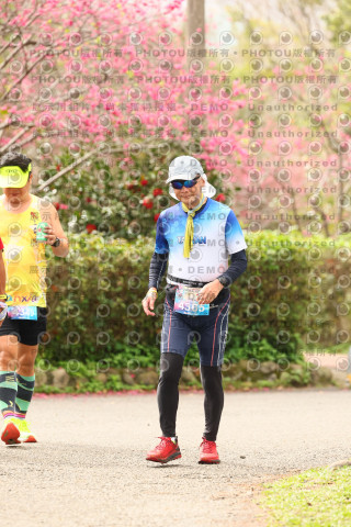 2026左岸竹東櫻花馬拉松Zhudong Sakura Marathon