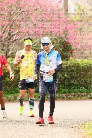 2026左岸竹東櫻花馬拉松Zhudong Sakura Marathon