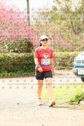 2026左岸竹東櫻花馬拉松Zhudong Sakura Marathon