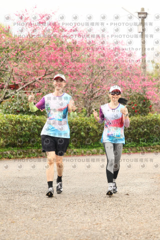 2026左岸竹東櫻花馬拉松Zhudong Sakura Marathon